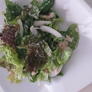 3ページ目 サニーレタスレシピ 作り方の人気順 簡単料理の楽天レシピ 3ページ目 サニーレタスレシピ 作り方の人気順 簡単料理の楽天レシピ